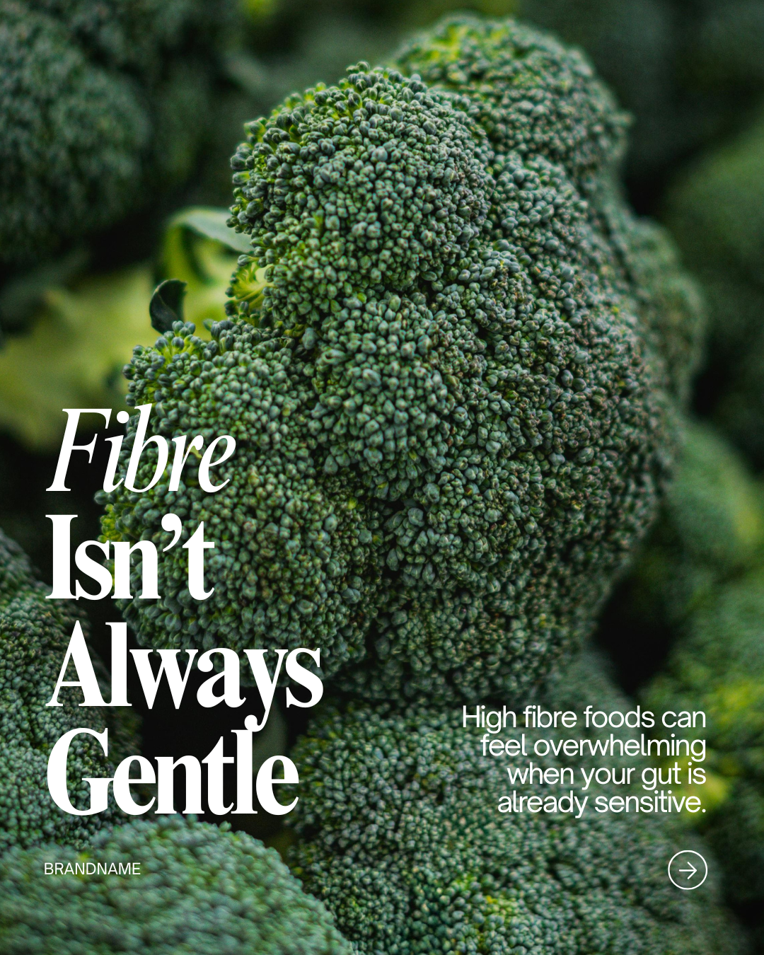 Digestive Health · More from the bundles · 5