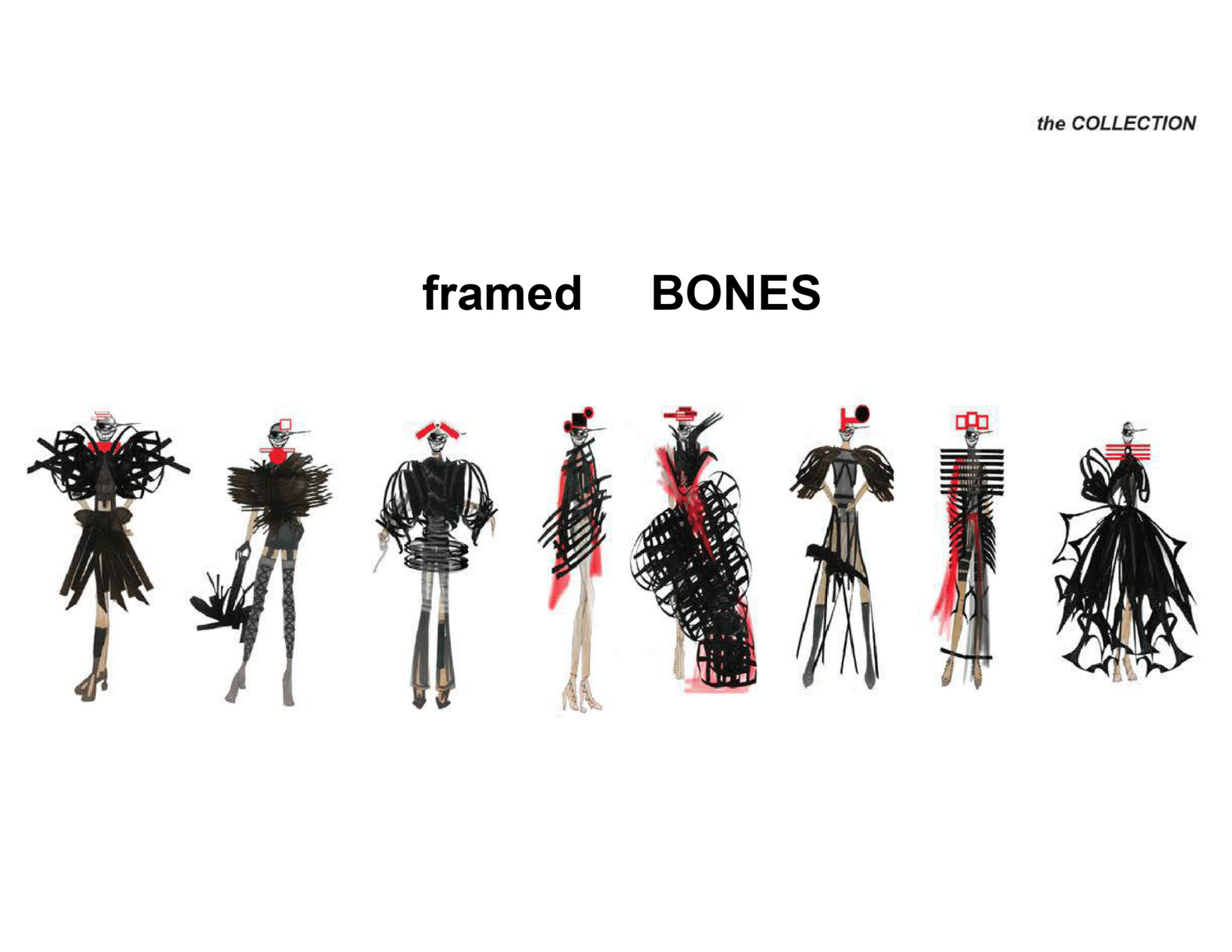 Framed Bones · lead image